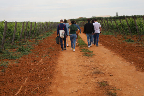 Be Rural: Wine Trek Ibleo