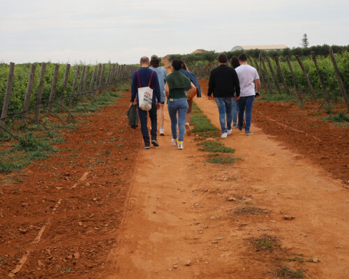 Be Rural: Wine Trek Ibleo