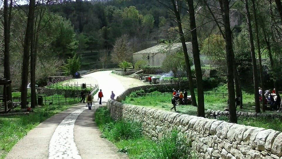 Parco Forestale Di Calaforno